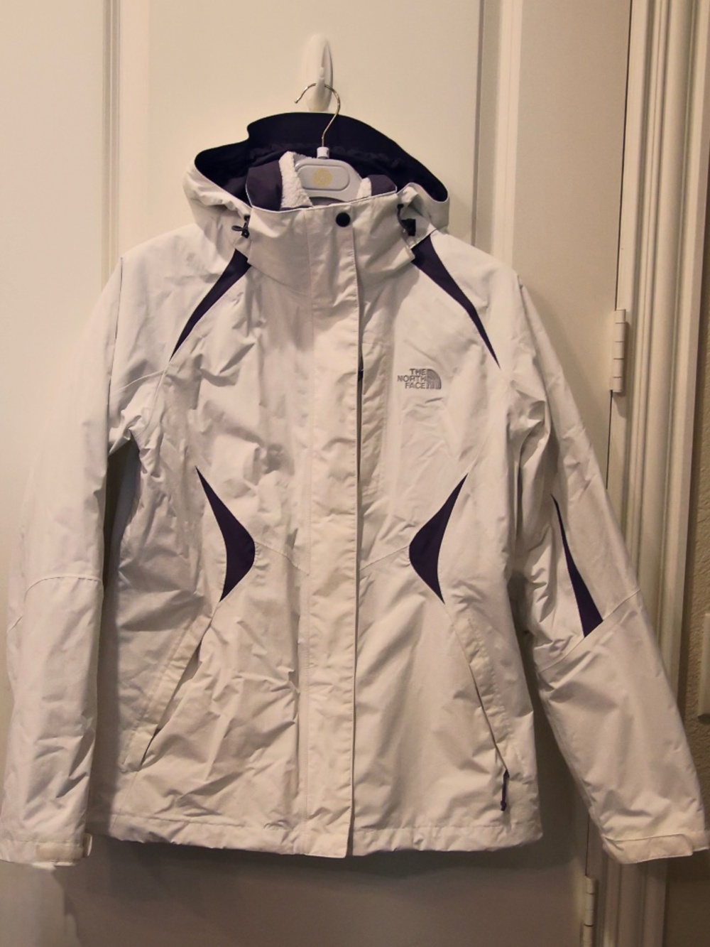 NorthFace Ski Jacket
